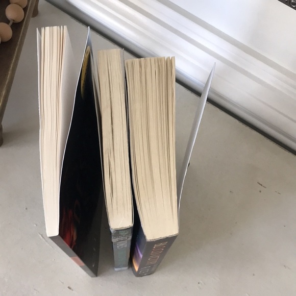 Christopher Rice Bundle Books Blood Victory, The Vines, & Desire & Ice - Picture 15 of 15